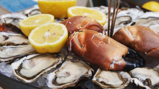 Top 10 des meilleurs restaurants de poissons et fruits de mer à Lyon Top 10 des meilleurs restaurants de poissons et fruits de mer à Lyon