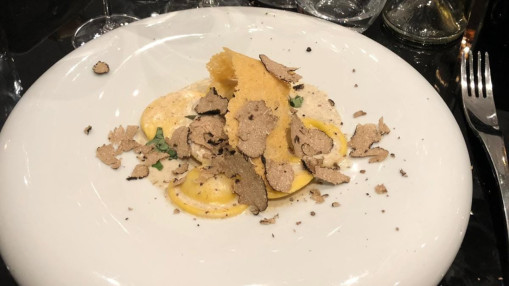Burrata truffée, poulpe grillé, vins italiens : AntoLio célèbre la vraie trattoria à Lyon Burrata truffée, poulpe grillé, vins italiens : AntoLio célèbre la vraie trattoria à Lyon